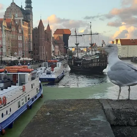 Apartamento śródmieście