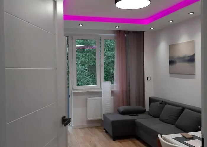 Srodmiescie Apartment *