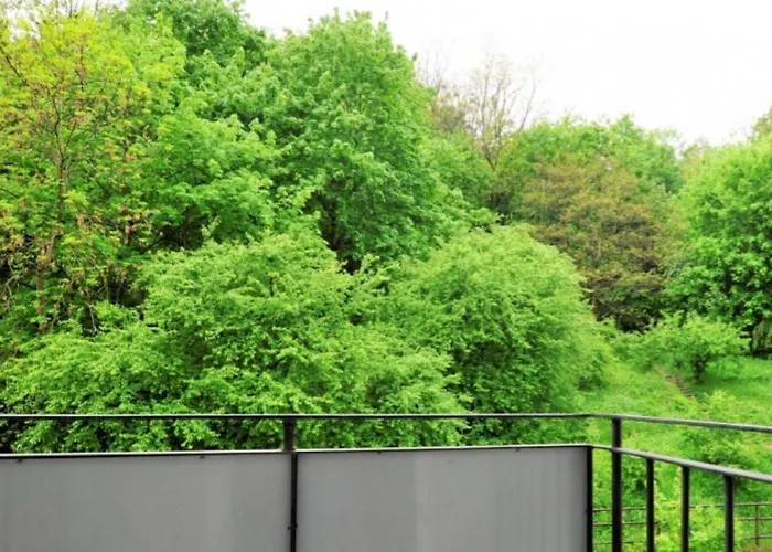 Srodmiescie アパート