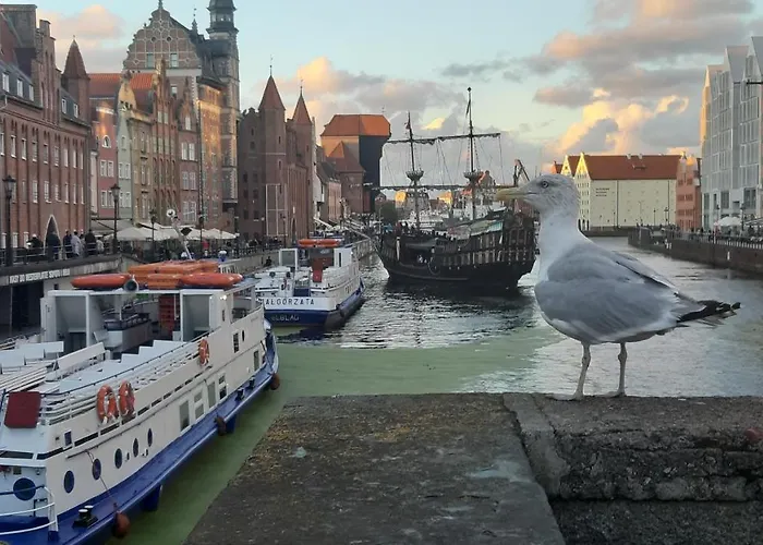 アパート Srodmiescie