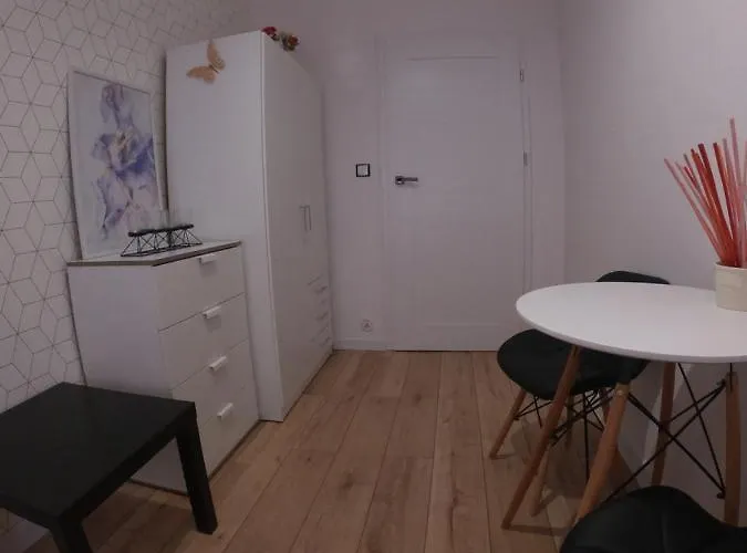 Srodmiescie Apartment *