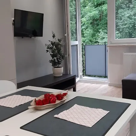 Srodmiescie Apartment Danzig